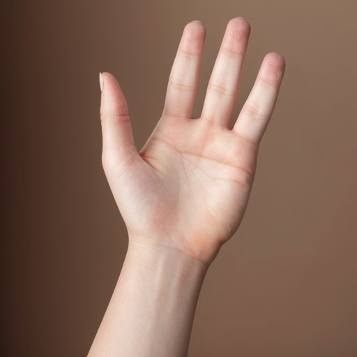 "realistic female hand, open palm facing upward as if holding an invisible apple, top view, fingers slightly curved in a natural holding position, soft natural lighting, plain white background, high detail skin texture, no shadows, isolated hand, photorealistic style, 4k quality"